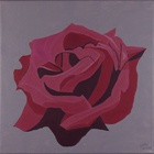 Rose 2
30 x 30 cm
EUR 45,-