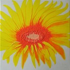 Gi204
40 x 40 cm
EUR 65,-
