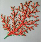 Gi207
40 x 40 cm
EUR 65,-