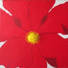 Gi212
40 x 40 cm
EUR 65,-