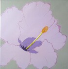 Gi213
40 x 40 cm
EUR 65,-